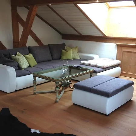 Mit Dachterrasse Apartment Kitzbühel