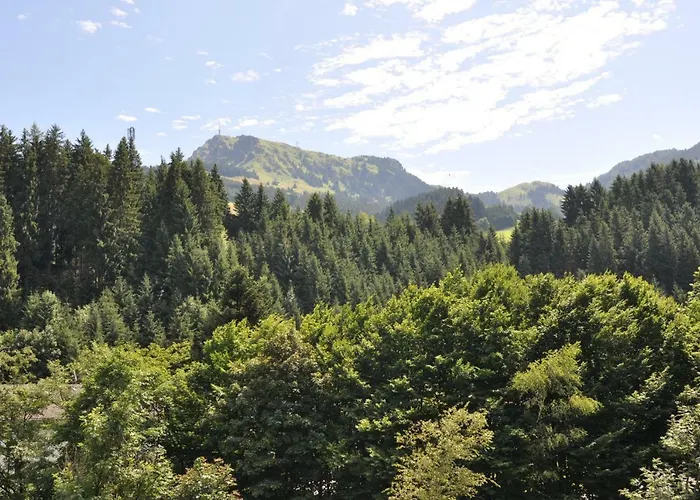 Mit Dachterrasse 公寓